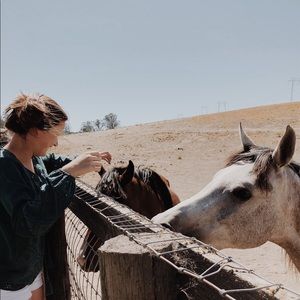 Meet your Posher, Haley